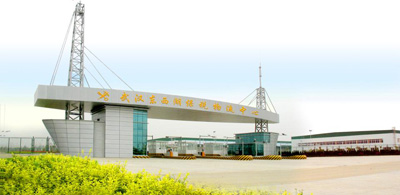 武漢臨空港経済技術開発区