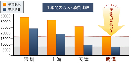 1年間の収入と消費比較